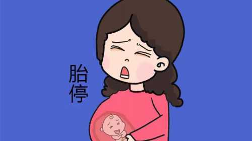 广东省人民医院哪个试管婴儿医生好？广东供卵试管费用多少？