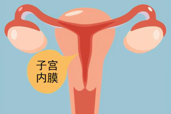 <b>珠海代生要多少钱,珠海试管助孕生子助孕机构</b>