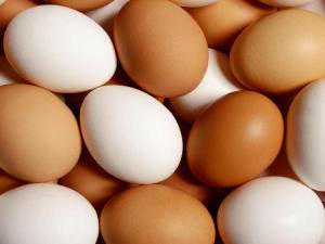 广东冷冻卵子需要多少钱,广东哪里做供卵试管不用等？